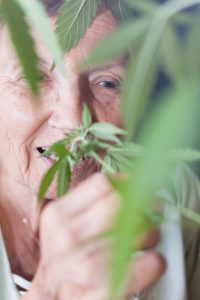 Steeds meer patiënten kweken hun eigen medicinale cannabis. [Foto: shutterstock/Jan Mika]