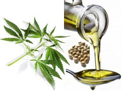 hemp-seed-oil-2