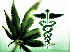 medical-marijuana-cannabis