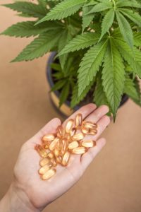 CBD-olie in de vorm van capsules [foto: Jan Mika/Shutterstock]