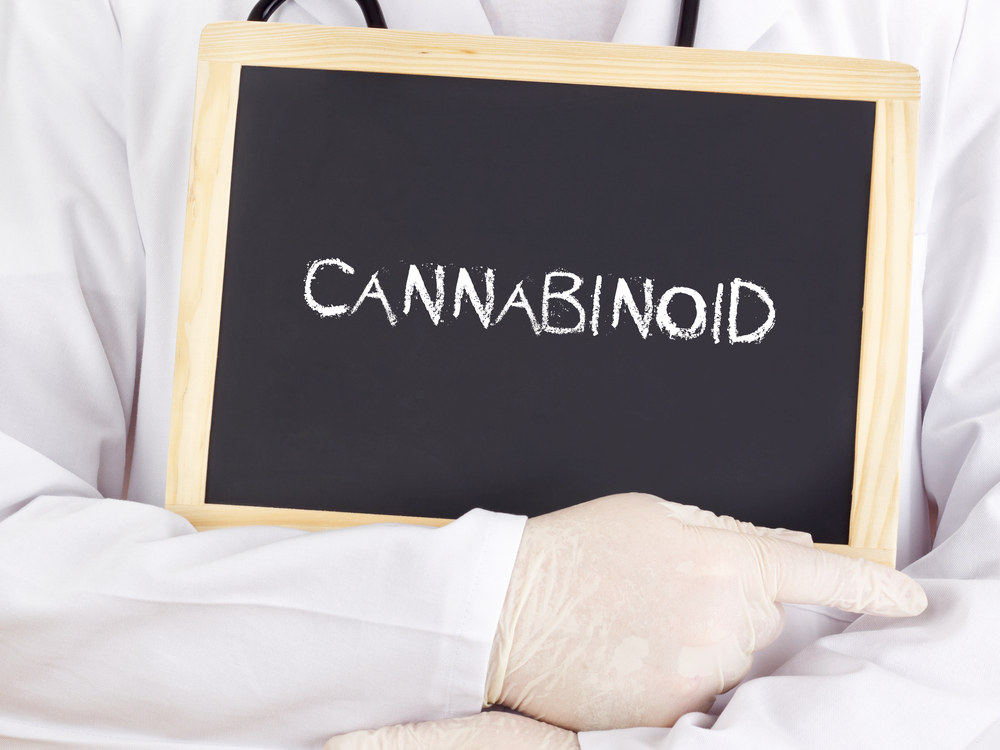 Onder andere de werking van cannabinoïden is van belang [foto: gwolters/Shutterstock]