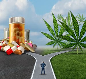 Chemische medicijnen of cannabis? Het bewijs voor de helende kracht van de wietplant neemt alsmaar toe! [illustratie: Lightspring/Shutterstock]