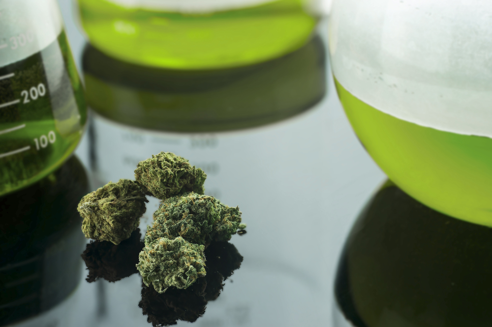 De aanwezigheid en concentratie van de verschillende stoffen in een volledig cannabisextract kunnen worden gemeten in laboratoriumtests. Foto: Thomas Morris, Shutterstock.com
