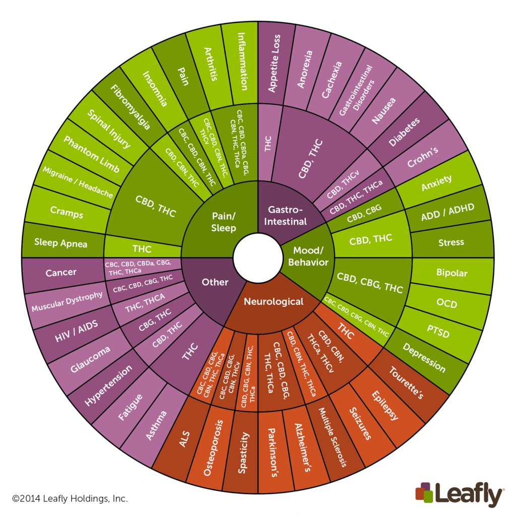 Een aantal van de meest voorkomende cannabinoïden en hun effect op het menselijk lichaam. Foto: Leafly