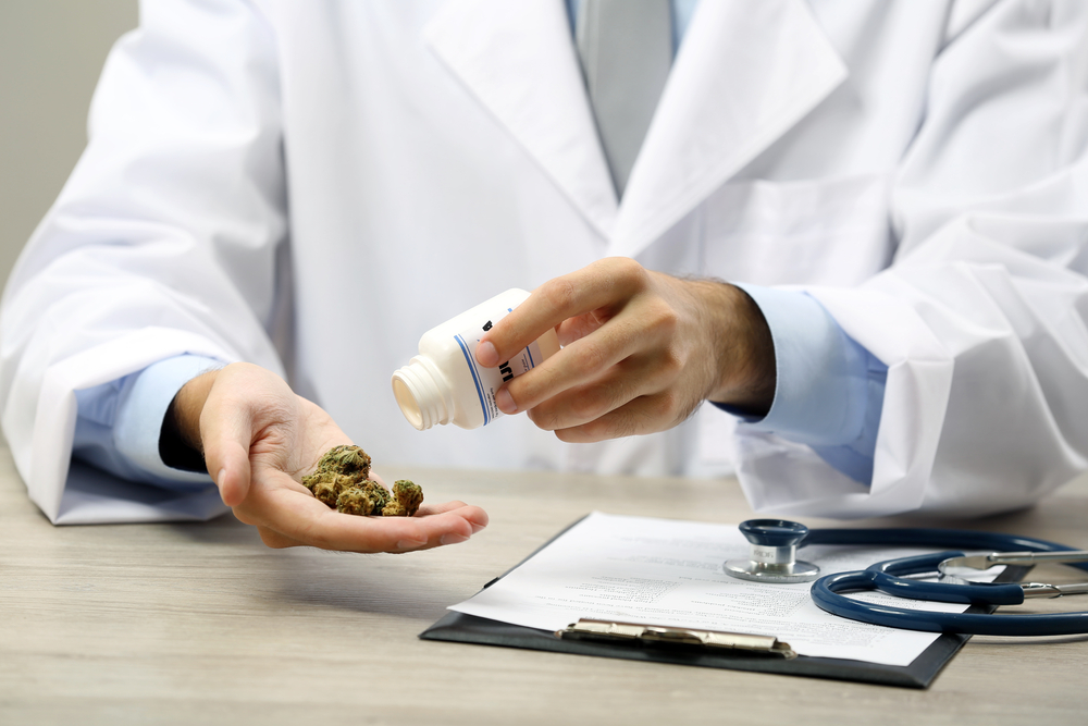 Het BMJ zegt dat doktoren de verantwoordelijkheid hebben om - wetenschappelijk onderbouwd - de hervorming van cannabiswetten te steunen in het belang van de volksgezondheid. [Foto: shutterstock/Africa Studio]