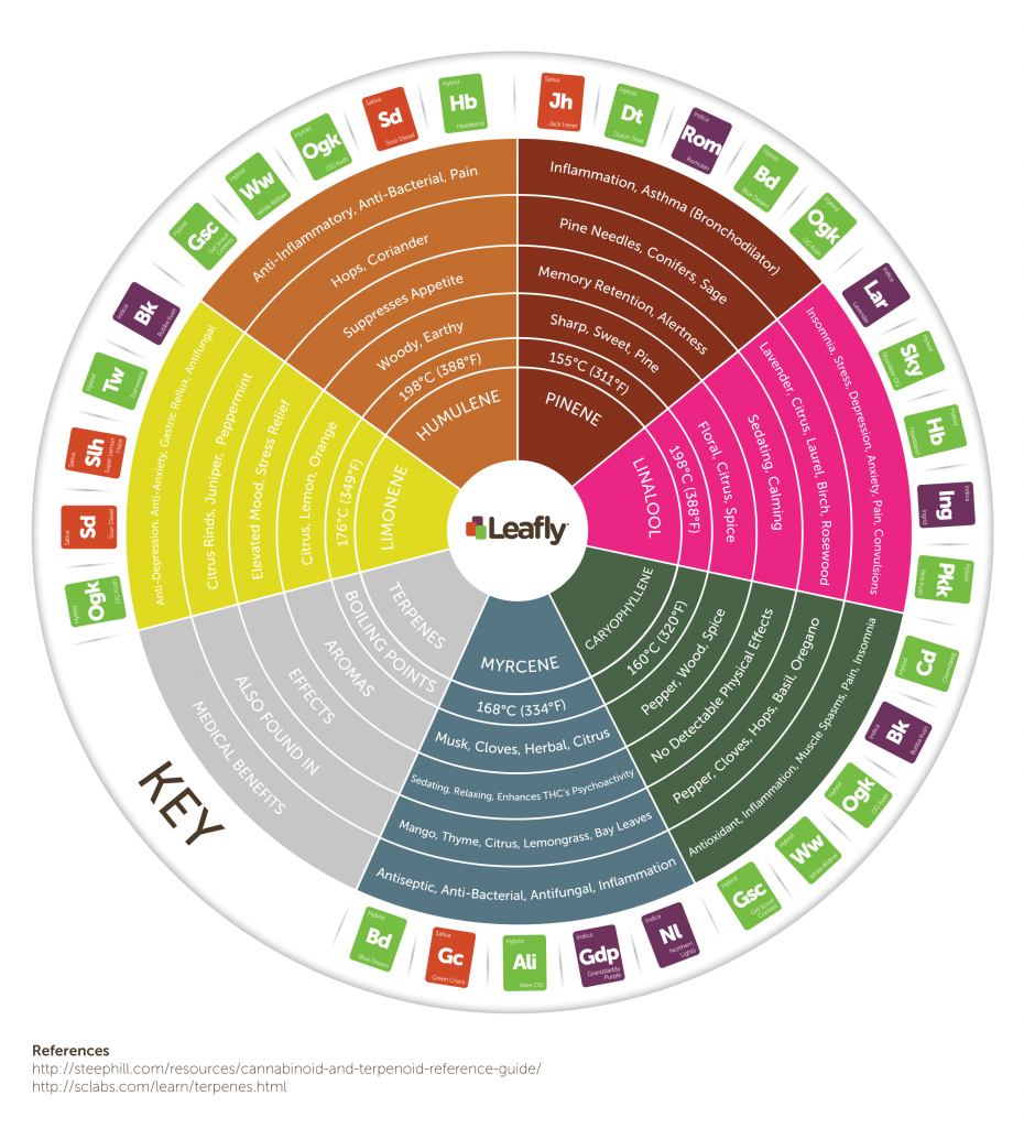 Terpenen komen niet alleen voor in de wietplant en hebben elk hun eigen invloed op het lichaam. Foto: Leafly