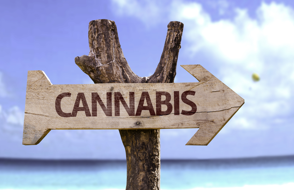 cannabis mee op vakantie