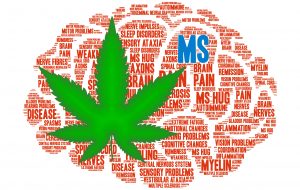 Medicinale cannabis bij multiple sclerose