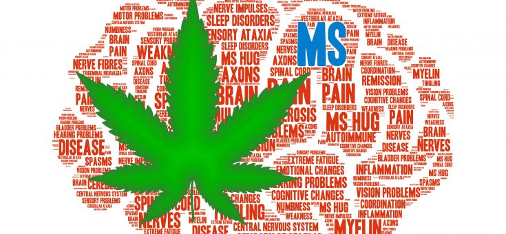 Medicinale cannabis bij multiple sclerose