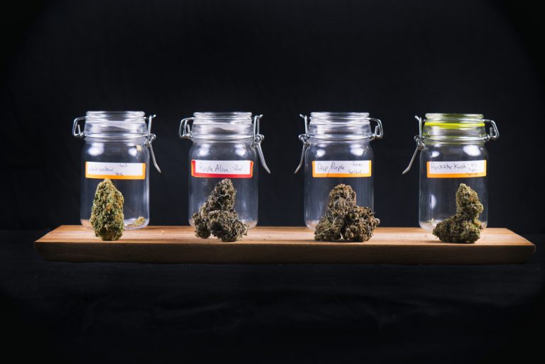 Zo lang kan je medicinale wiet bewaren - Mediwietsite