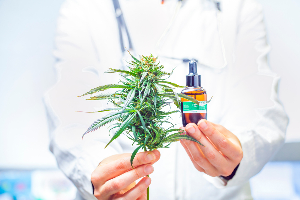 This Study Will Perfect Your steroide perte de graisse: Read Or Miss Out