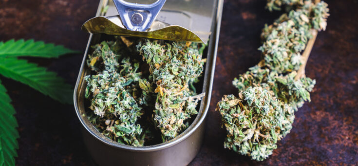 De beste manieren om cannabisproducten te bewaren - Mediwietsite