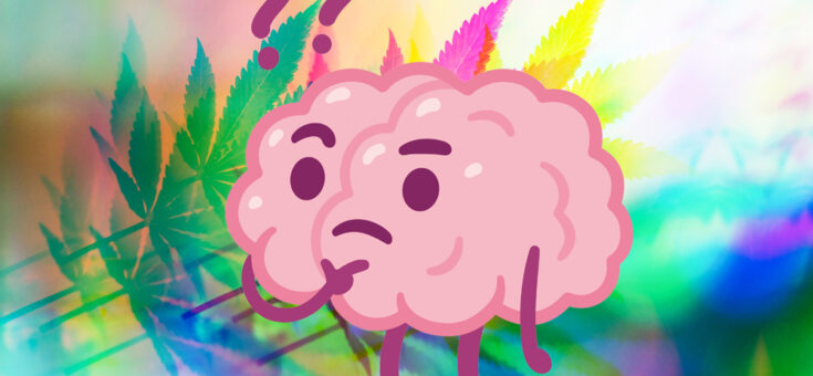 cannabis hersenen