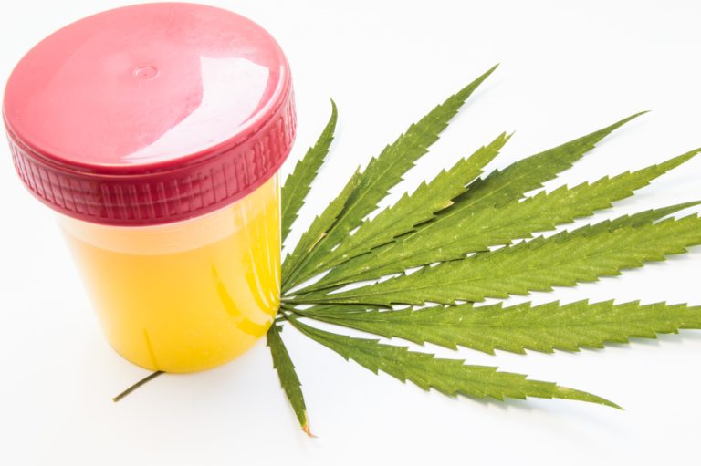 Uitgezocht • Hoe lang blijft cannabis (THC) eigenlijk in je lichaam