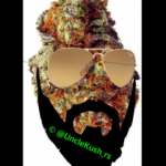 Profielfoto van Uncle Kush
